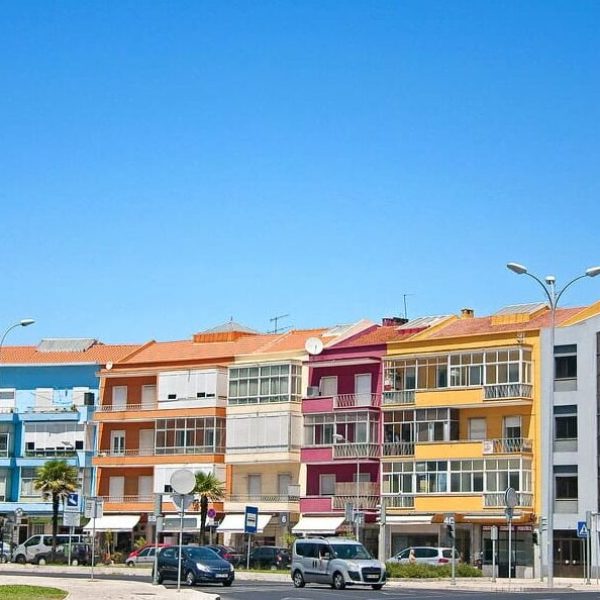 amadora amadora